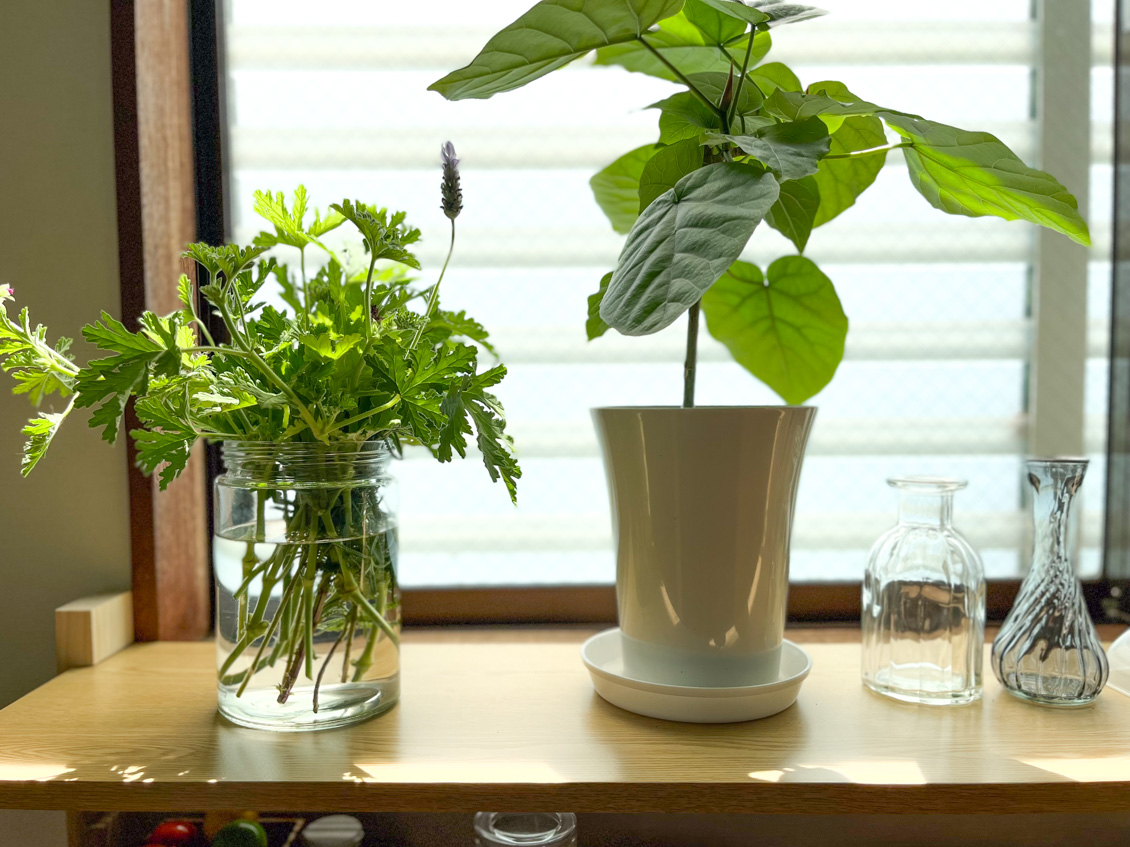 ���ƥå������Ļ������δ��տ�ʪ